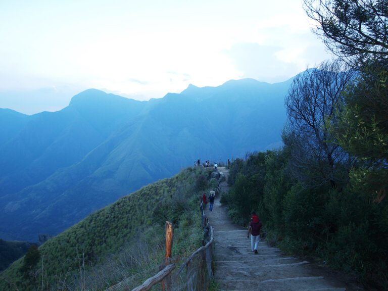 View Point Top Station