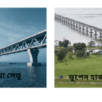 ভূপেন হাজারিকা সেতুর সাথে পদ্মা সেতুর তুলনা | Comparison of Padma Bridge with Bhupen Hazarika Bridge